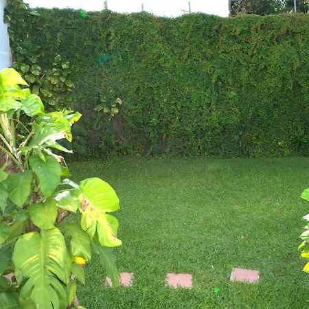 فيلا كانكونفي Beautiful Jungle House On A Strategic Location المظهر الخارجي الصورة