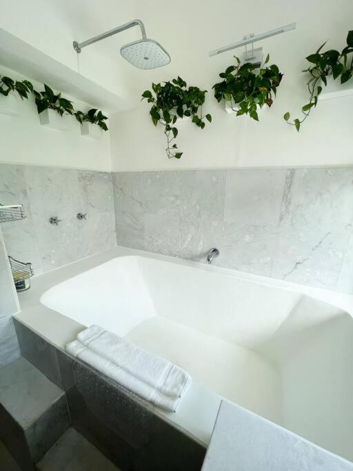 فيلا كانكونفي Beautiful Jungle House On A Strategic Location المظهر الخارجي الصورة