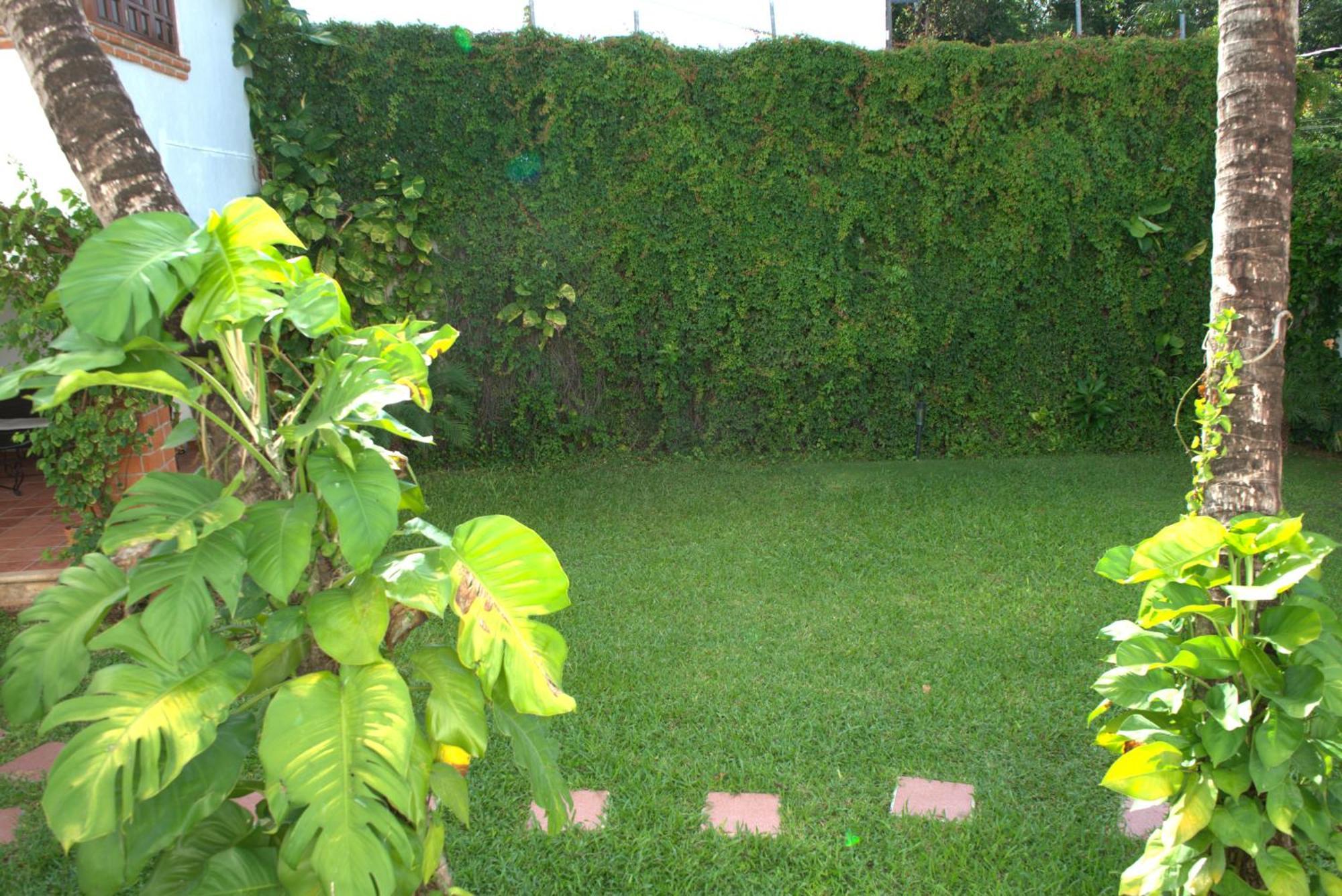 فيلا كانكونفي Beautiful Jungle House On A Strategic Location المظهر الخارجي الصورة